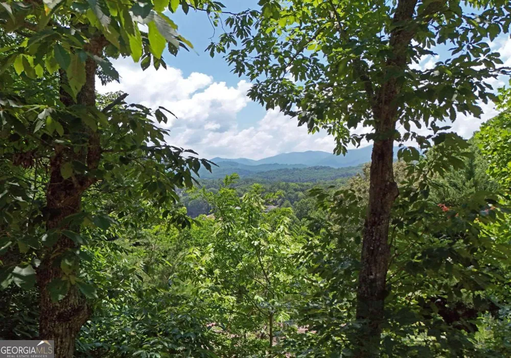 714 Mountain View RD Hiawassee, GA 30546