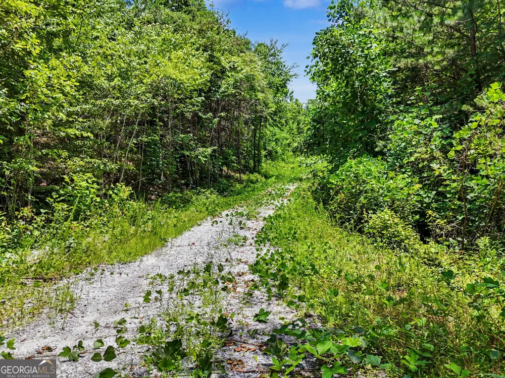 0 Hwy 76 W Clayton, GA 30525