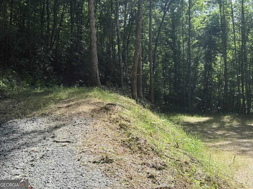 0 Hwy 76 W Clayton, GA 30525