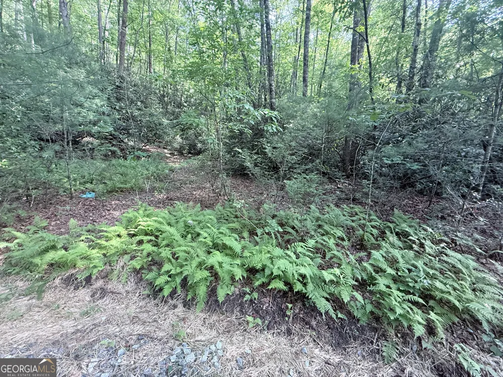 0 Hwy 76 W Clayton, GA 30525