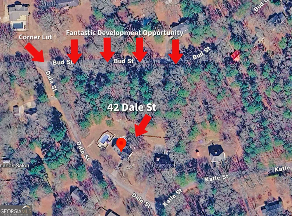 42 Dale ST Temple, GA 30179