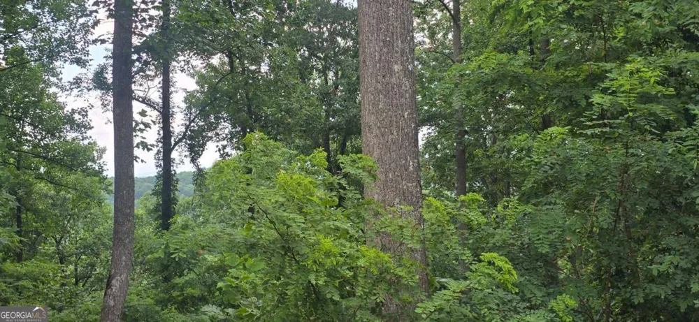 001 Windning Ridge Blairsville, GA 30514