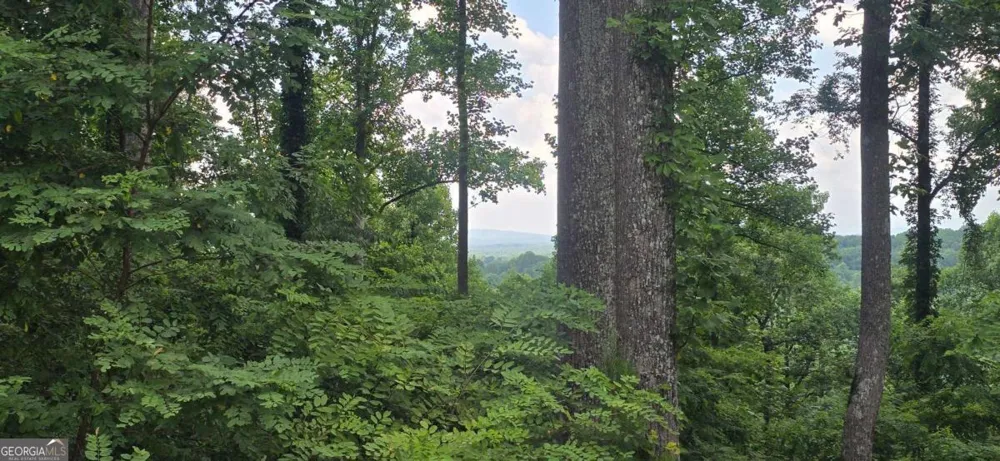 001 Windning Ridge Blairsville, GA 30514
