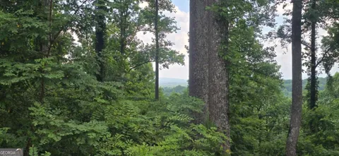 001 Windning Ridge