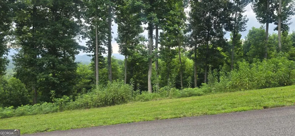 001 Windning Ridge Blairsville, GA 30514