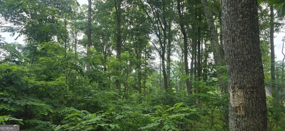 001 Windning Ridge Blairsville, GA 30514