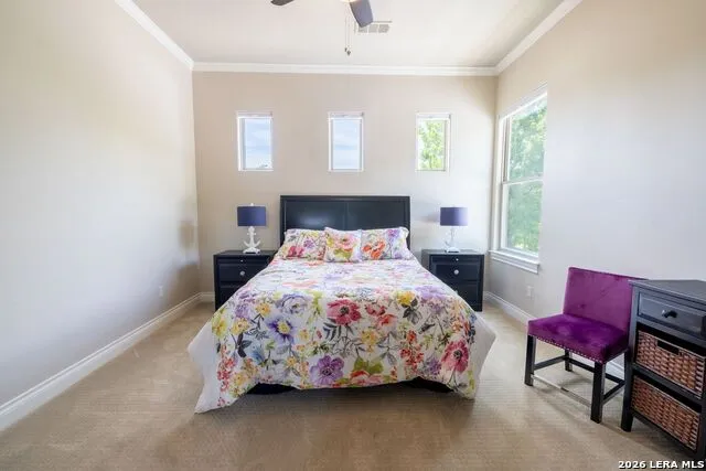 2238 Williams Lakeshore Kingsland, TX 78639