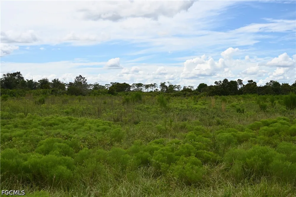 County Line Road E Fort Meade, FL 33841