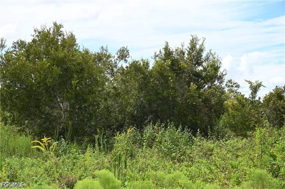 County Line Road E Fort Meade, FL 33841