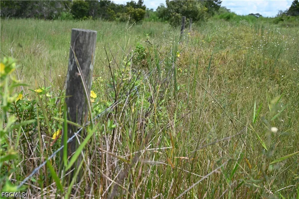 County Line Road E Fort Meade, FL 33841