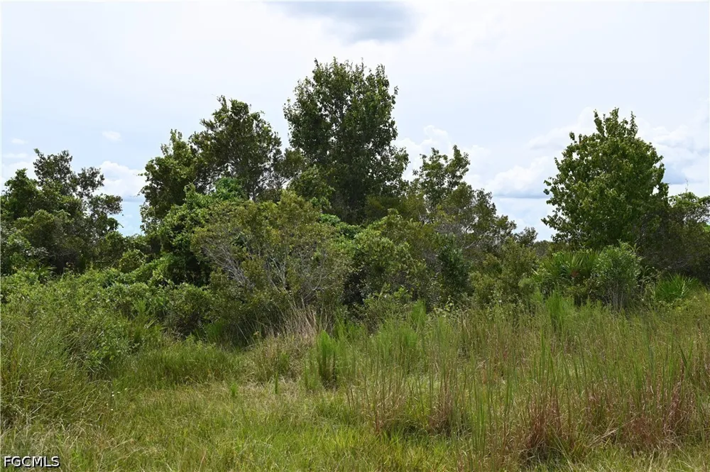 County Line Road E Fort Meade, FL 33841