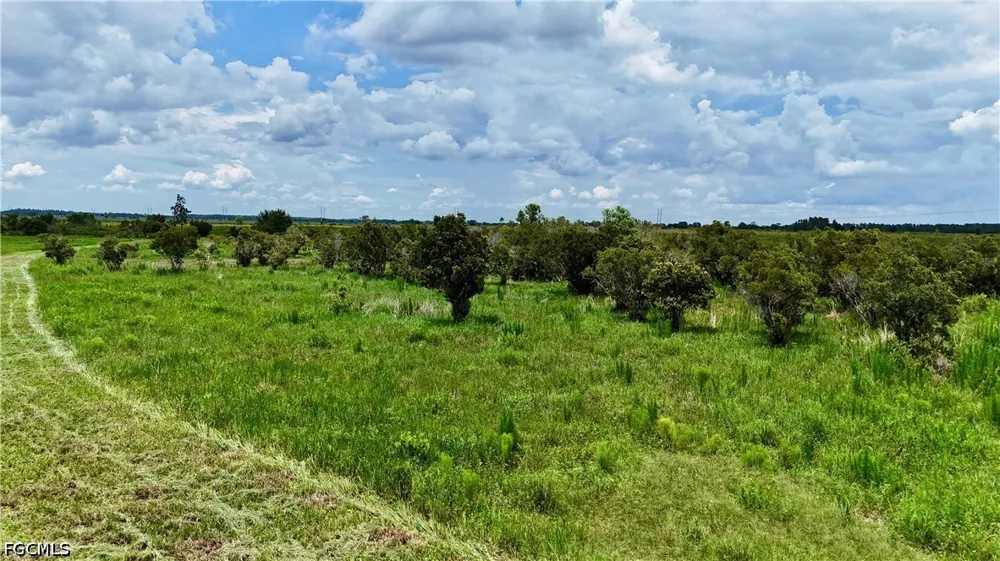 County Line Road E Fort Meade, FL 33841