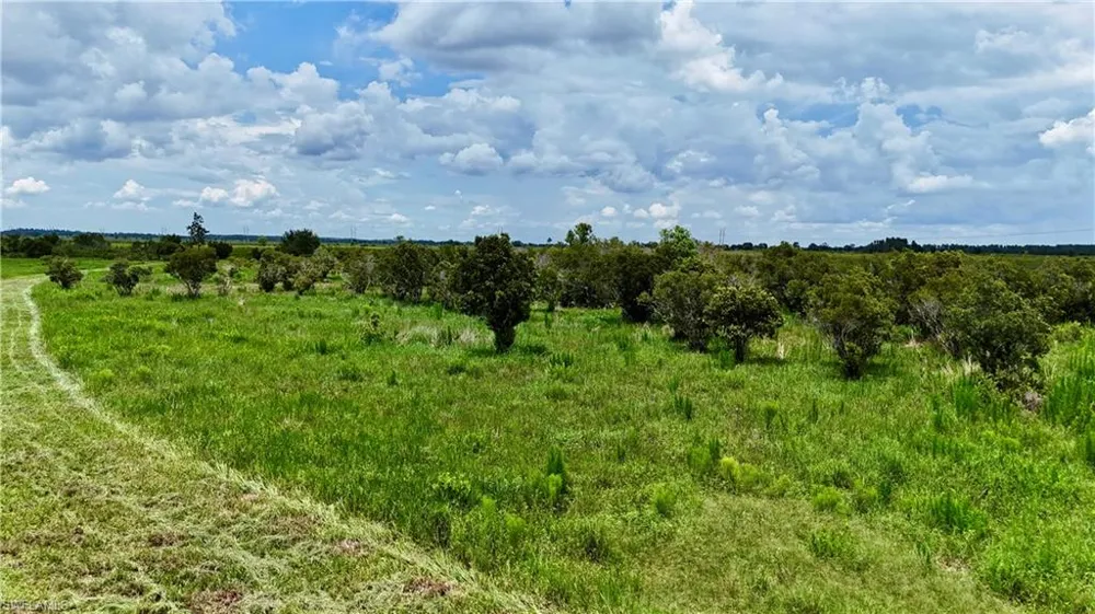 County Line Road E Fort Meade, FL 33841