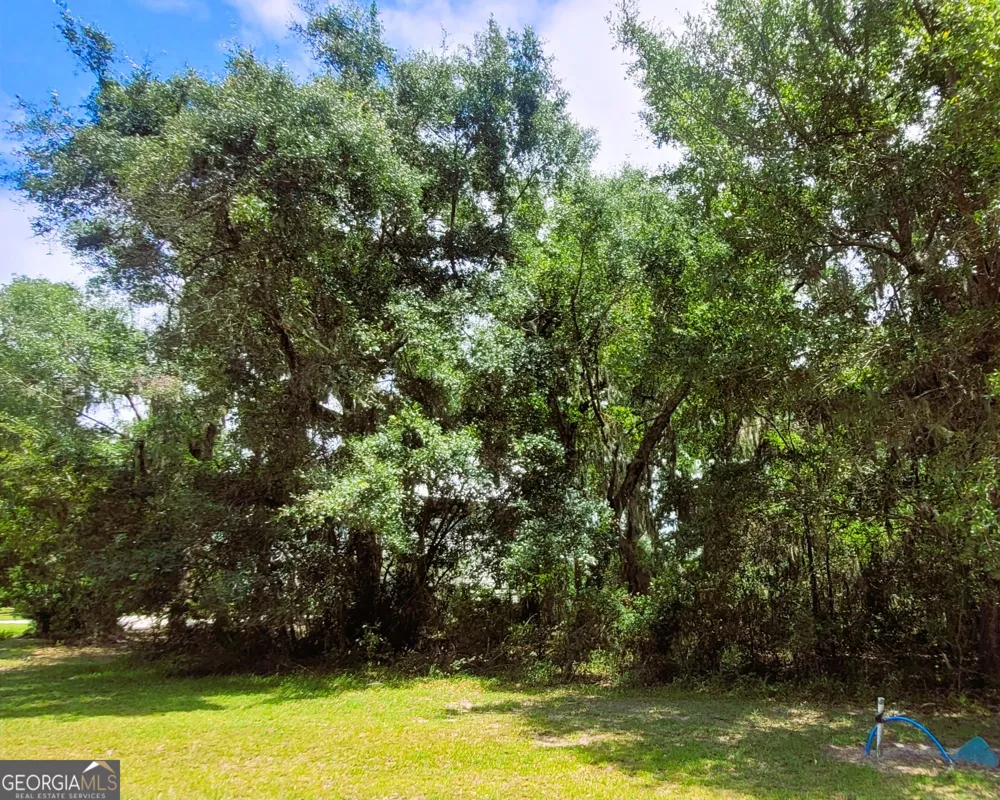 103 Carousers CV St. Marys, GA 31558