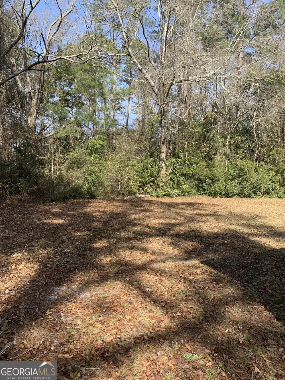 675 N Main ST Baxley, GA 31513