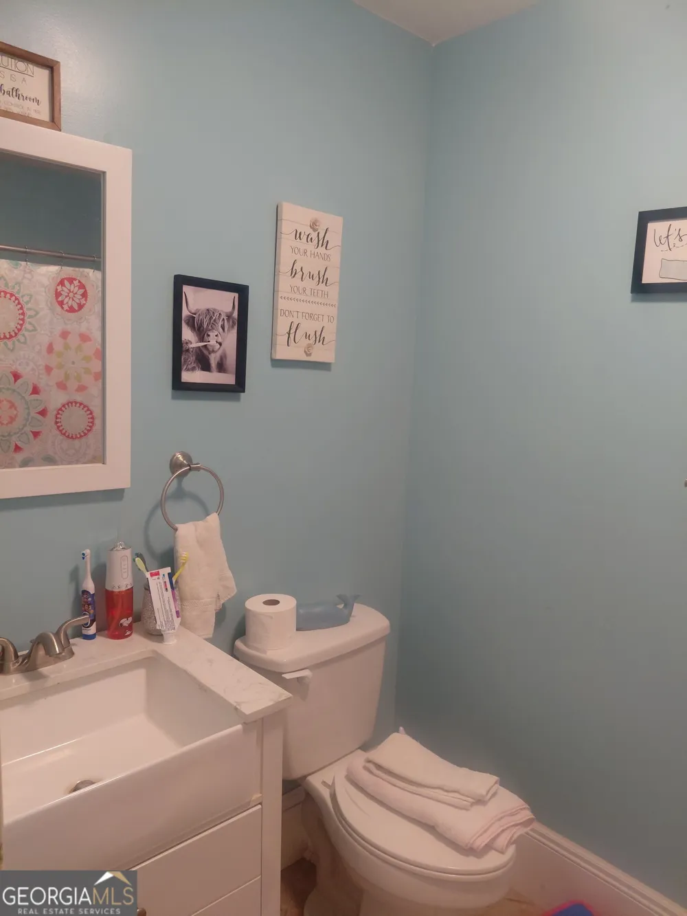 319 Old Oconee RD Vidalia, GA 30474