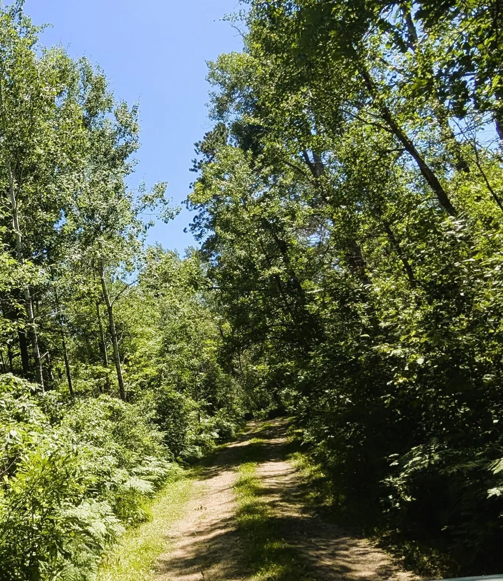 42683 County 3 Solway, MN 56678