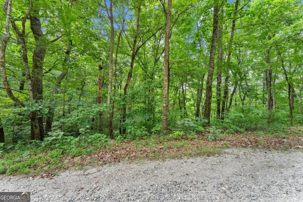 0 Wauka Ridge RD Clermont, GA 30527