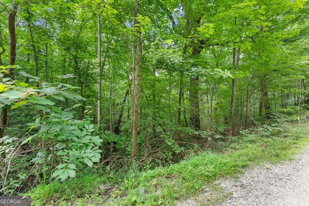 0 Wauka Ridge RD Clermont, GA 30527