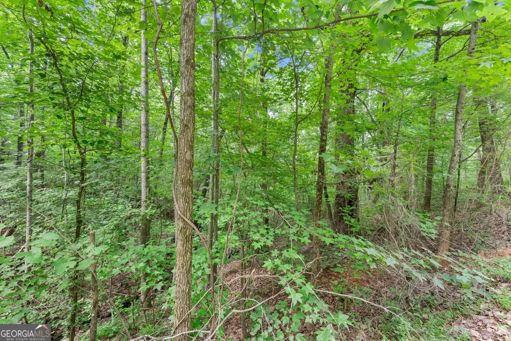 0 Wauka Ridge RD Clermont, GA 30527