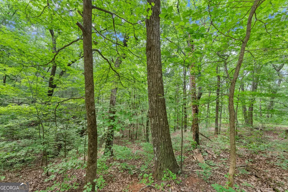 0 Wauka Ridge RD Clermont, GA 30527