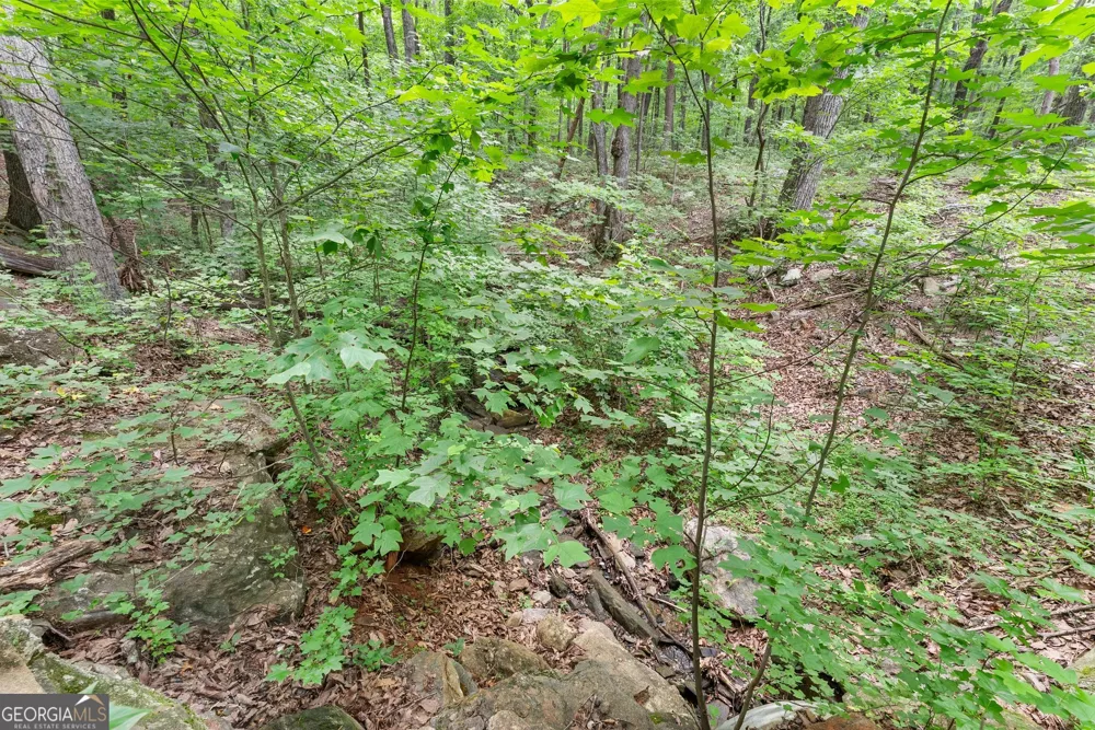 0 Wauka Ridge RD Clermont, GA 30527