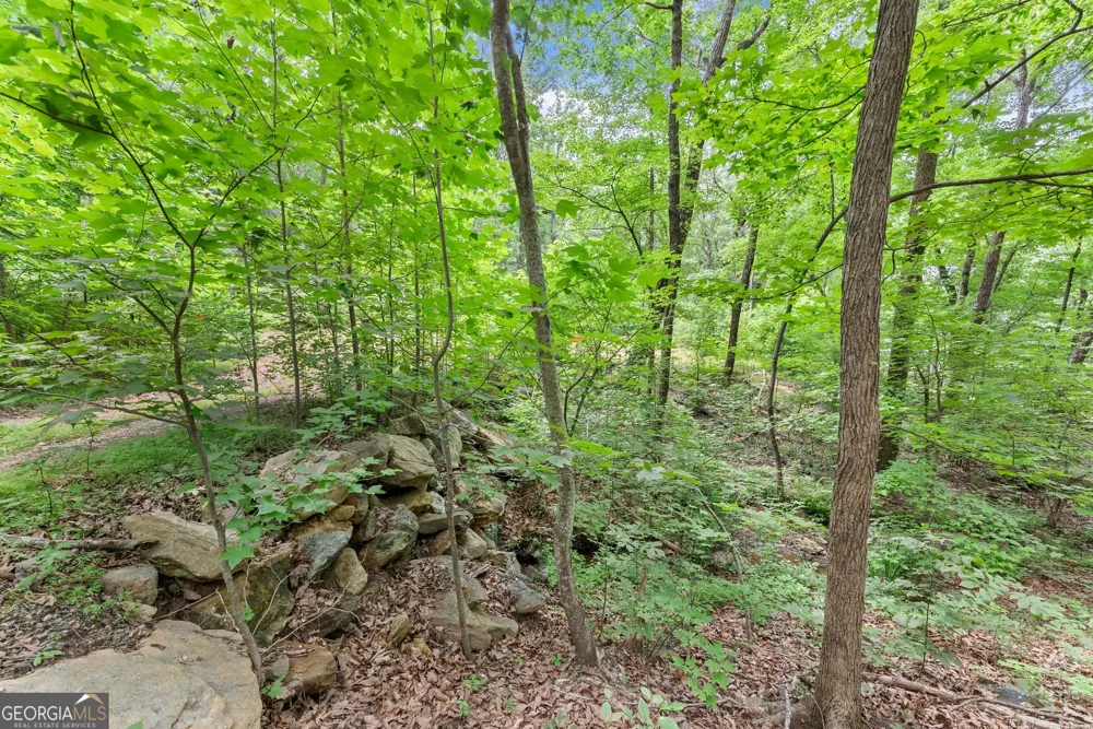 0 Wauka Ridge RD Clermont, GA 30527