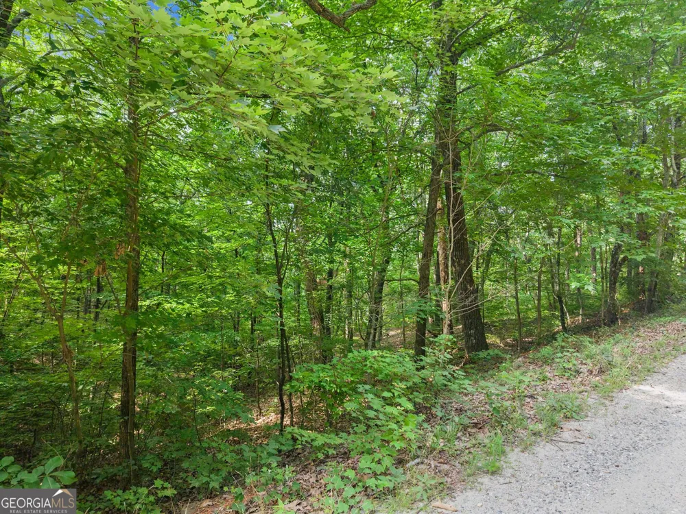 0 Wauka Ridge RD Clermont, GA 30527