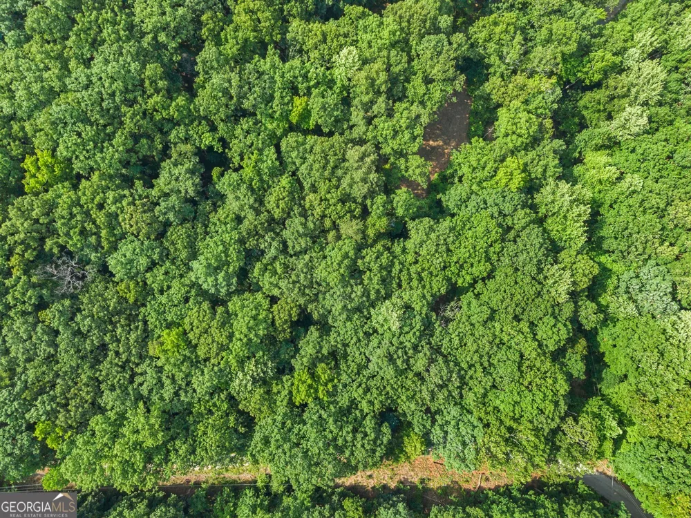 0 Wauka Ridge RD Clermont, GA 30527