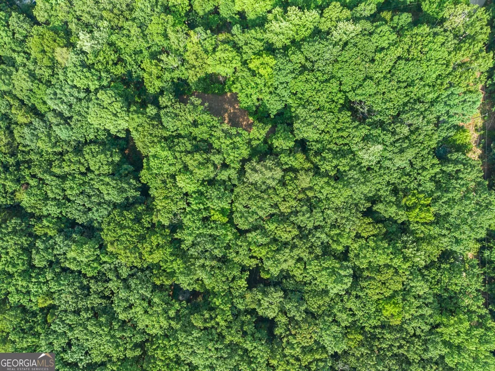 0 Wauka Ridge RD Clermont, GA 30527