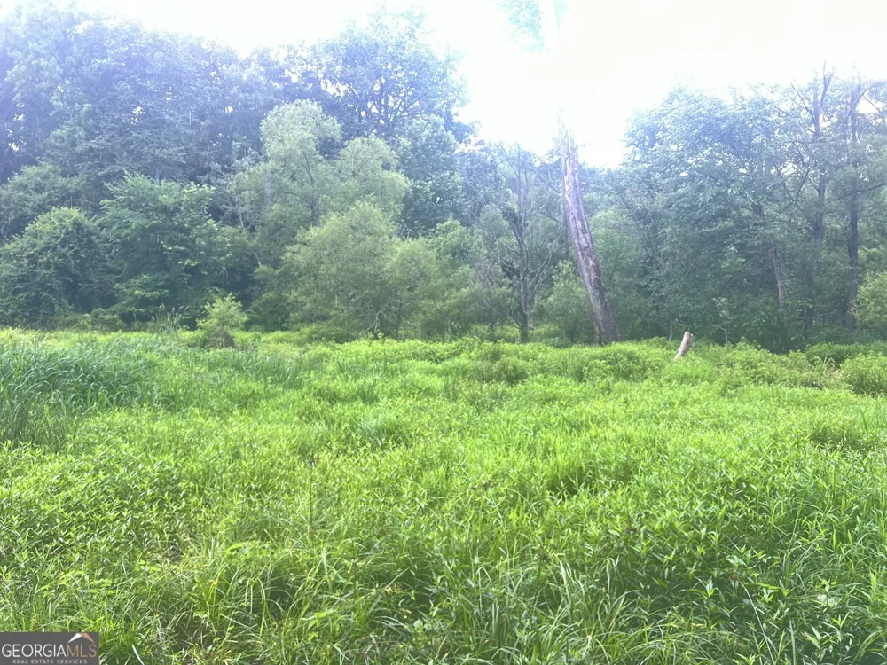 1589 Deer Field Farms RD Monticello, GA 31064