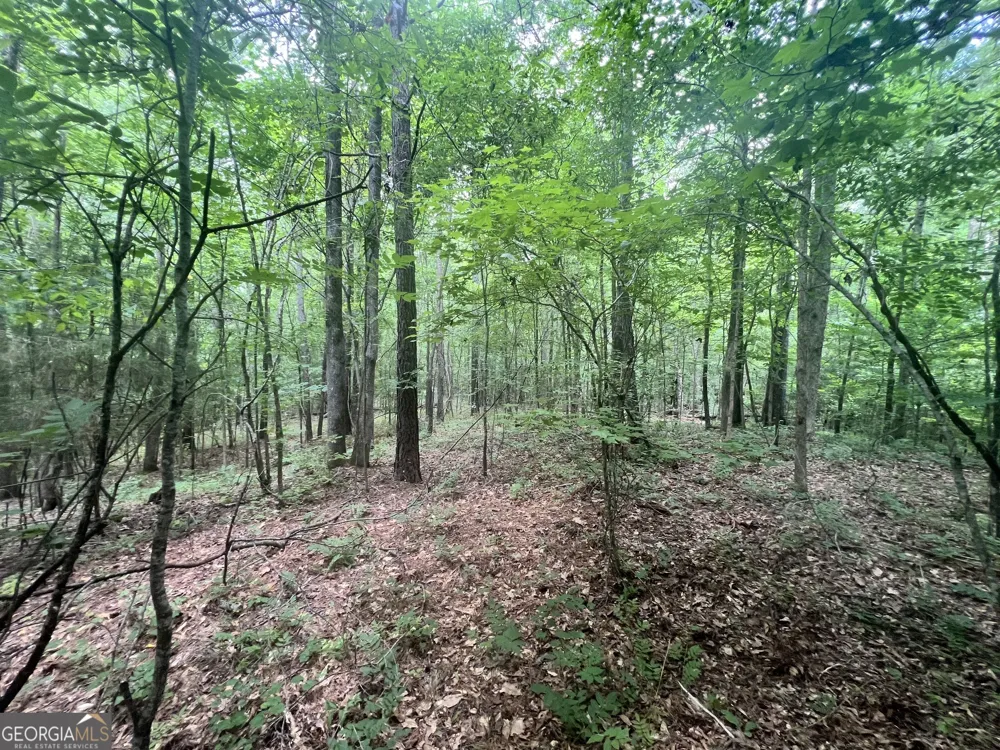 1589 Deer Field Farms RD Monticello, GA 31064