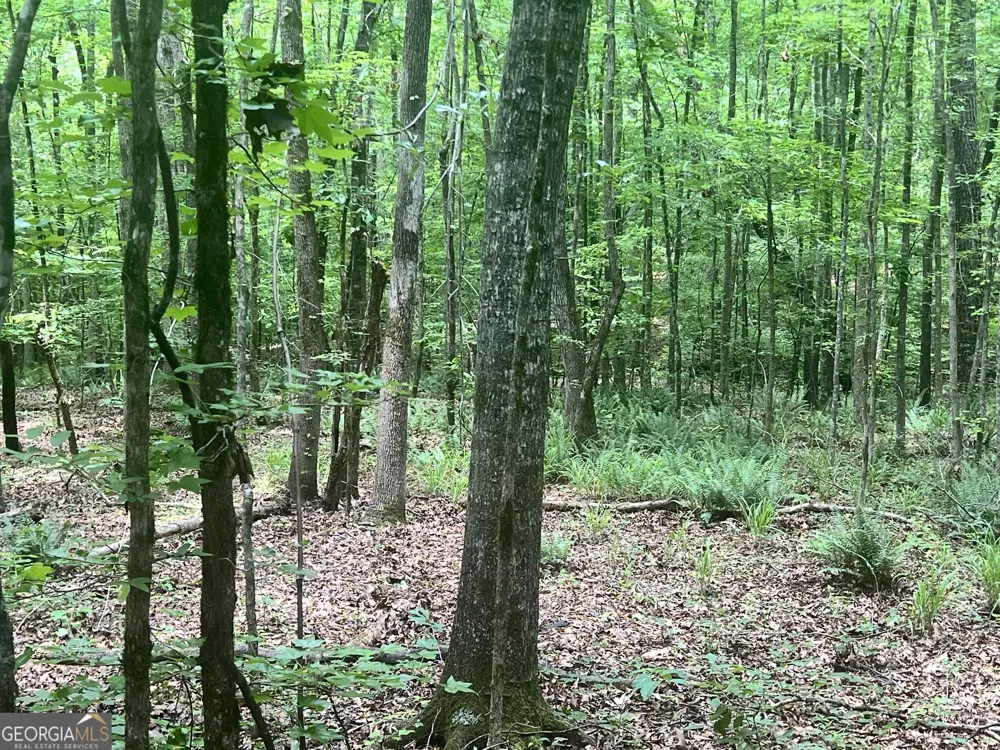 1589 Deer Field Farms RD Monticello, GA 31064