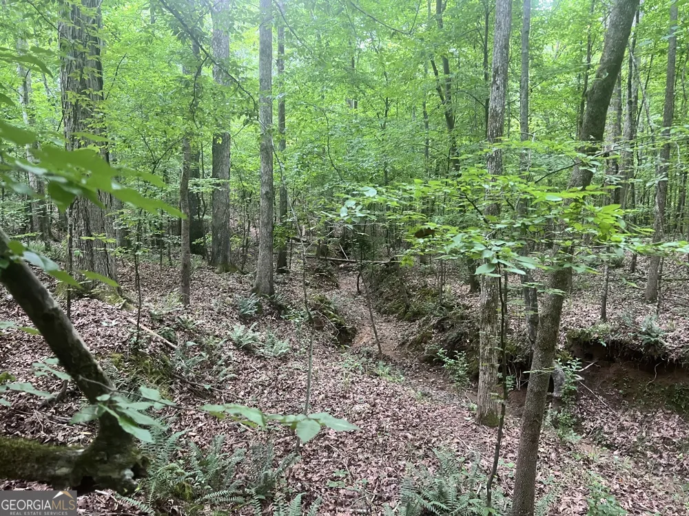 1589 Deer Field Farms RD Monticello, GA 31064