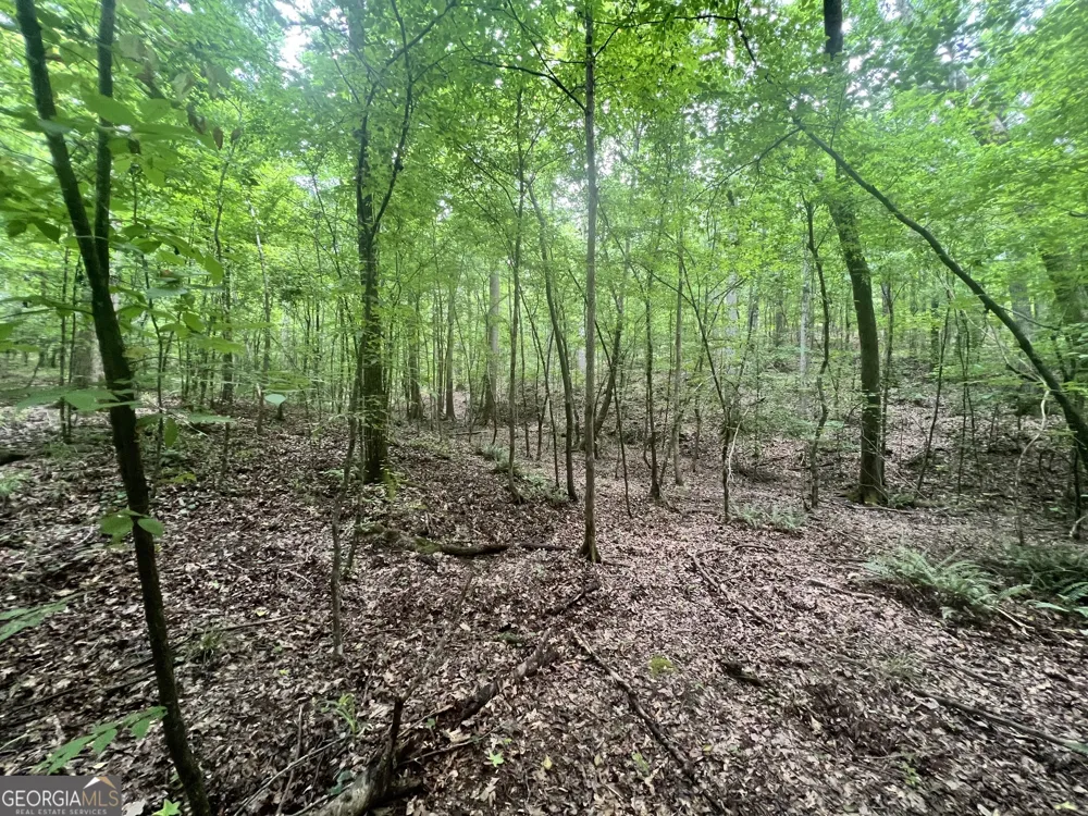 1589 Deer Field Farms RD Monticello, GA 31064