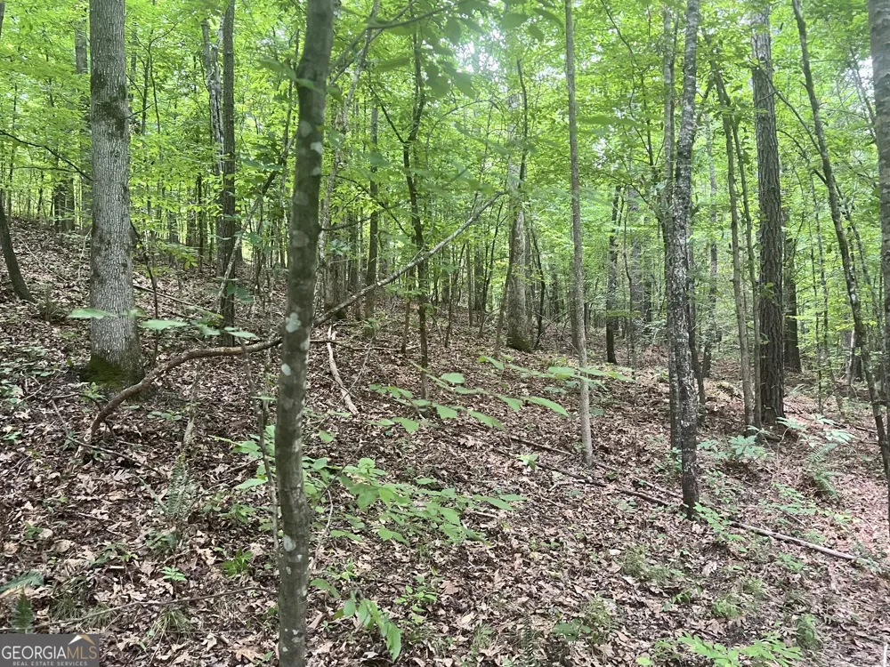 1589 Deer Field Farms RD Monticello, GA 31064