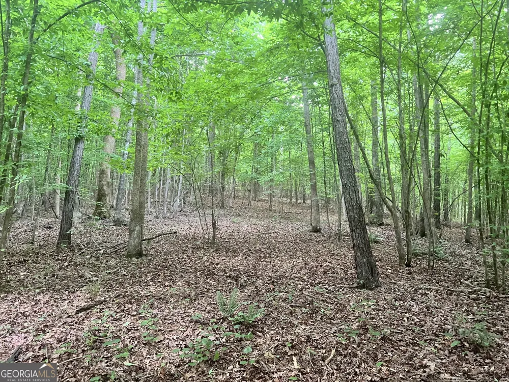 1589 Deer Field Farms RD Monticello, GA 31064