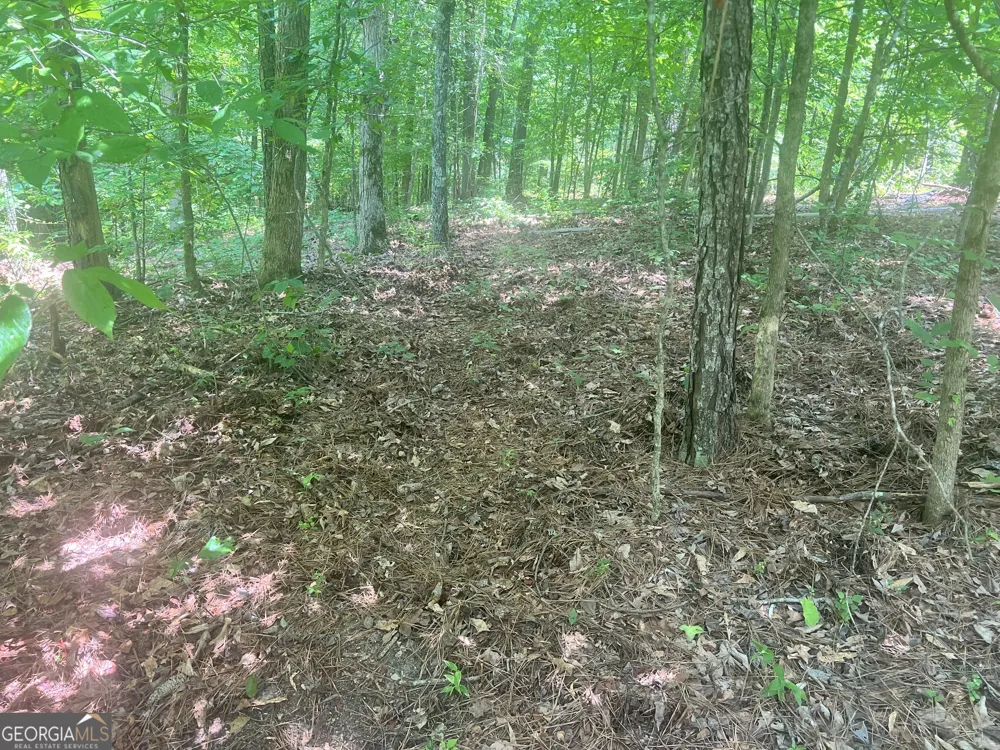 1589 Deer Field Farms RD Monticello, GA 31064