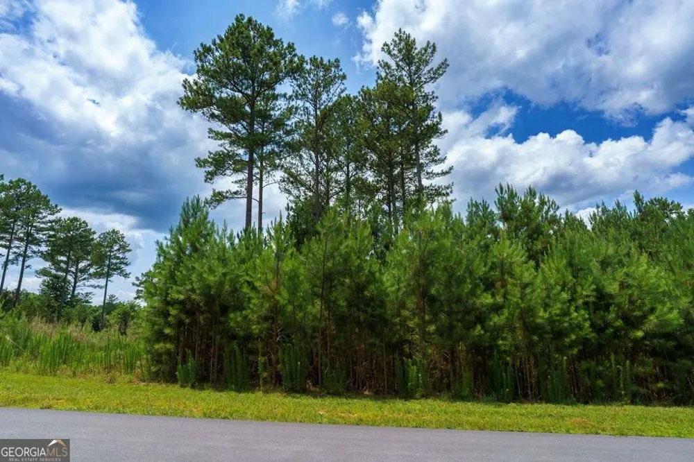 LOT 343 Loop LN Blairsville, GA 30512