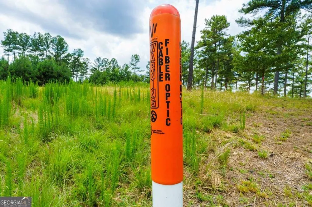 LOT 343 Loop LN Blairsville, GA 30512