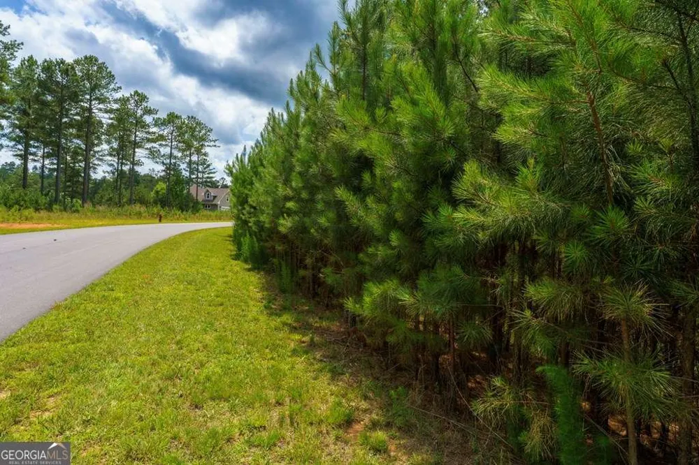 LOT 343 Loop LN Blairsville, GA 30512