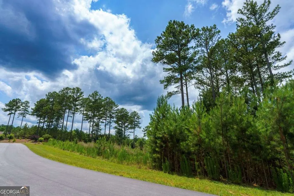 LOT 343 Loop LN Blairsville, GA 30512