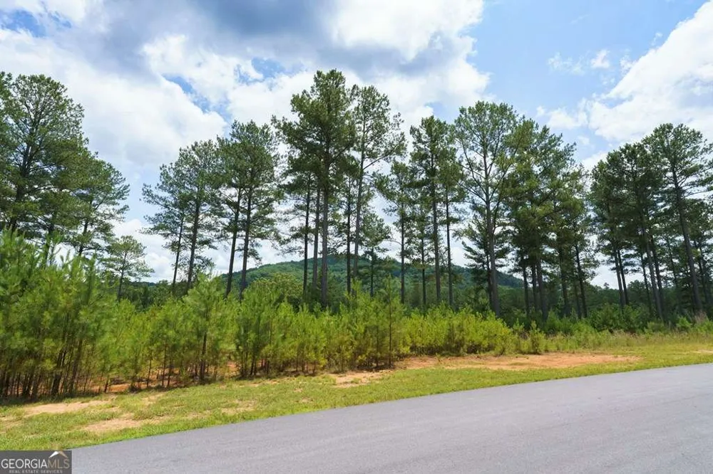 LOT 343 Loop LN Blairsville, GA 30512