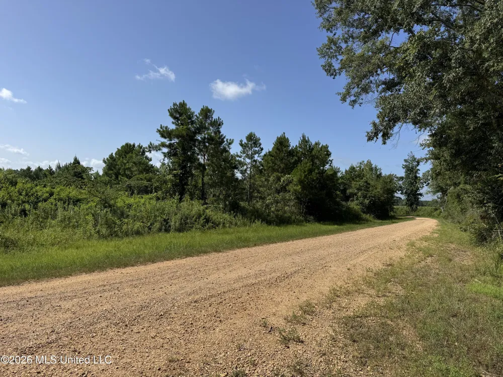 32 Sauls Road Ruth, MS 39662
