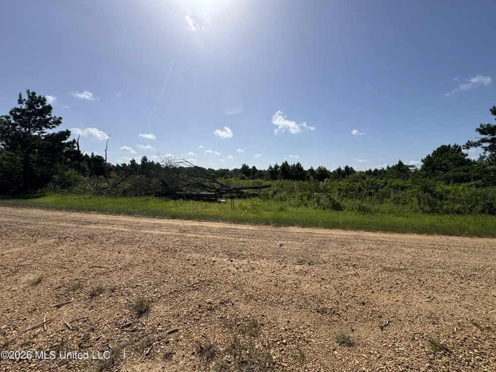32 Sauls Road Ruth, MS 39662