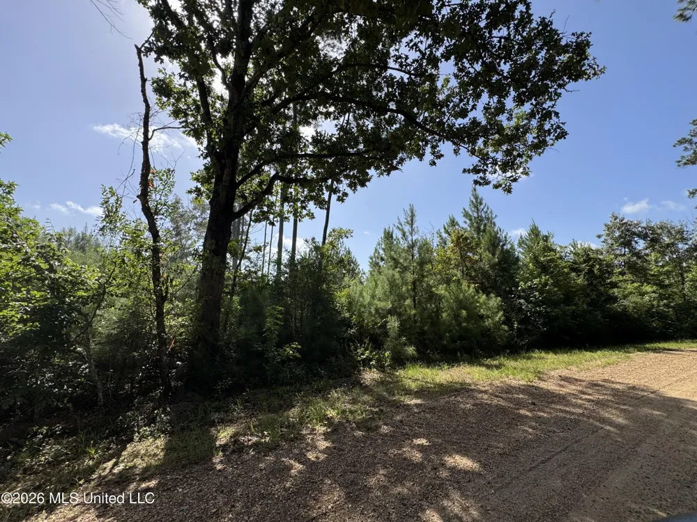 32 Sauls Road Ruth, MS 39662