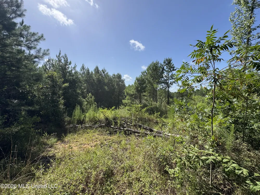 32 Sauls Road Ruth, MS 39662