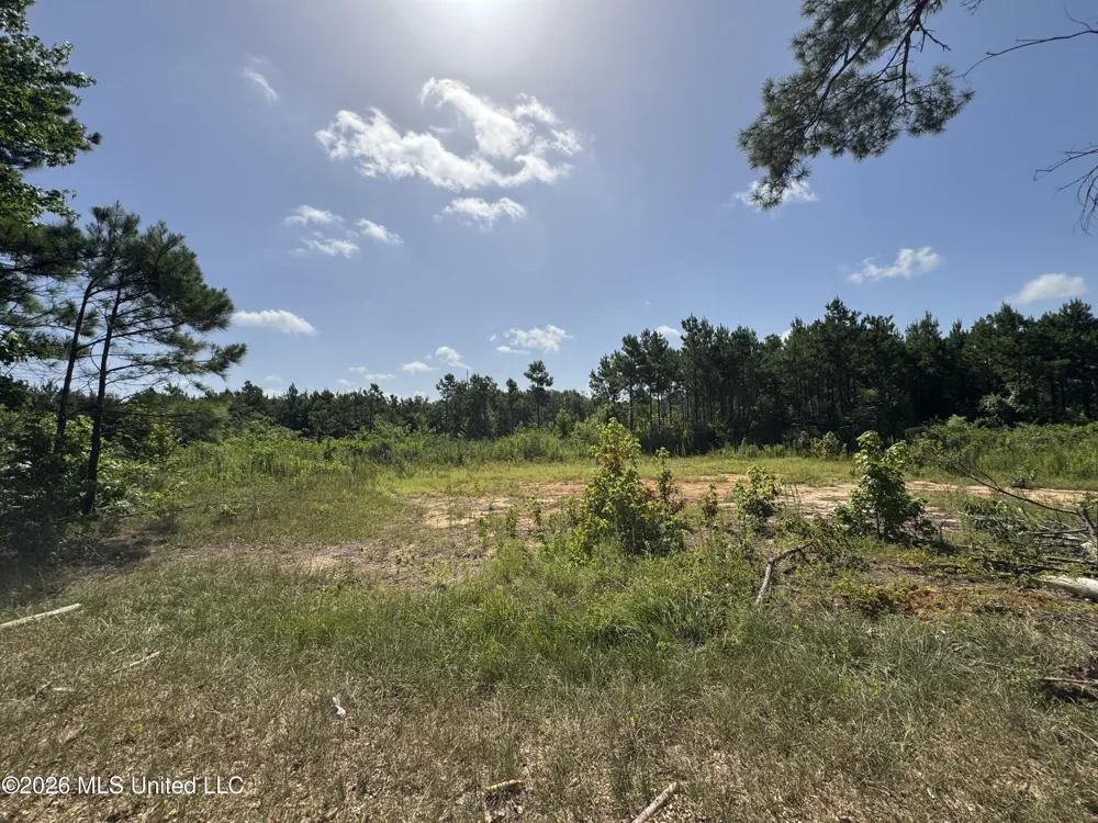 32 Sauls Road Ruth, MS 39662