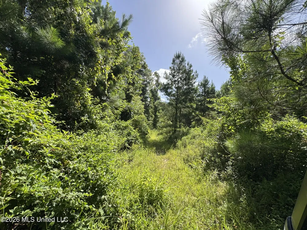 32 Sauls Road Ruth, MS 39662