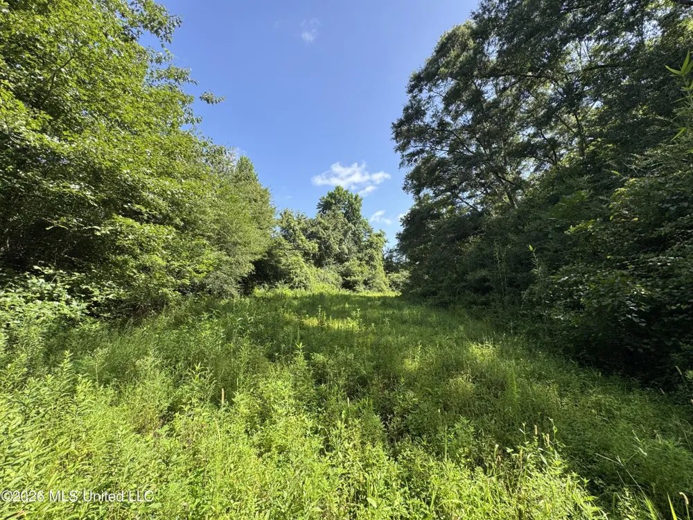 32 Sauls Road Ruth, MS 39662